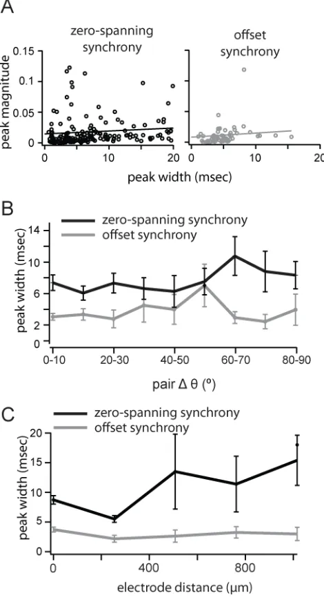 Figure 2.6. Offset synchrony width is narrower than zero-spanning synchrony.  (A) Cross-correlation magnitude measured as a function of peak width for zero-spanning (black, 