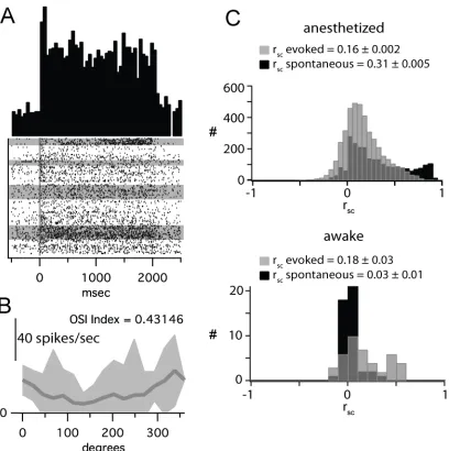 Figure 2.9. rsc is not affected by anesthetic state.  (A) PSTH and spike rasters from a single unit recorded from V1 of an awake, head-fixed mouse