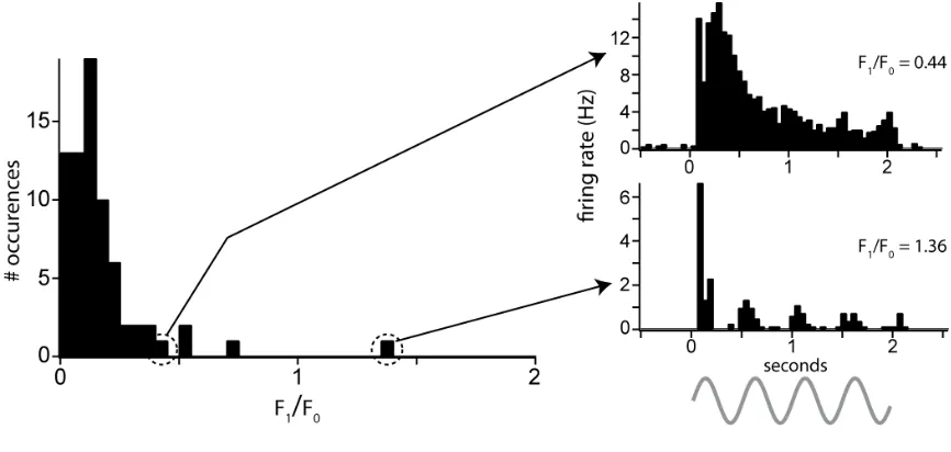 Figure 2.11. Distribution of simple and complex cells in the population of layer 2/3 neurons