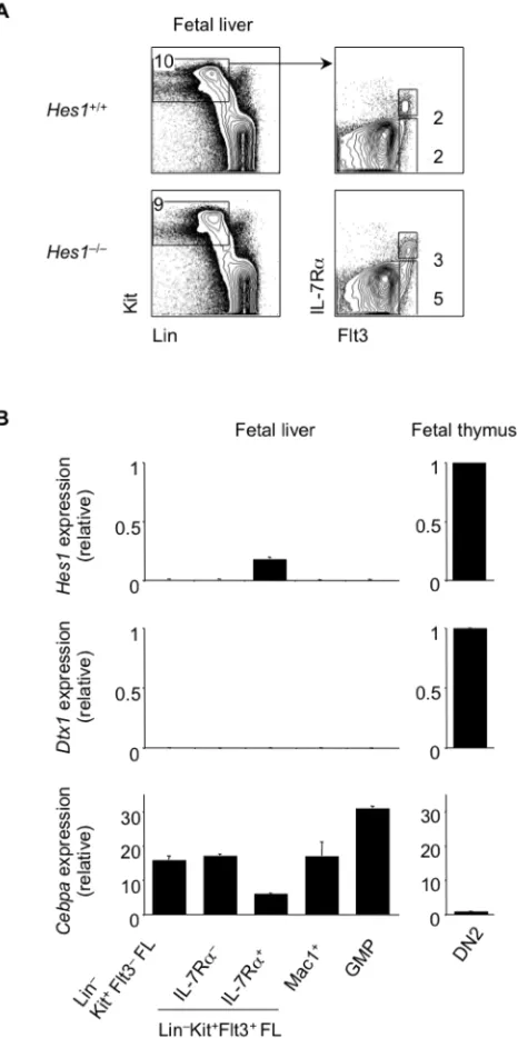 Figure 3-10 Characterization of FL lymphoid progenitors 