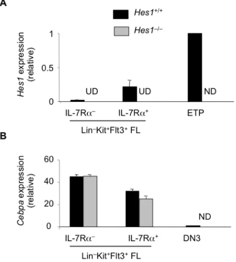 Figure 3-11 Hes1-deficient FL lymphoid progenitors effectively downregulate Cebpa expression 