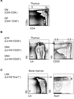 Figure 1-4 Gating of thymus and BM progenitors  