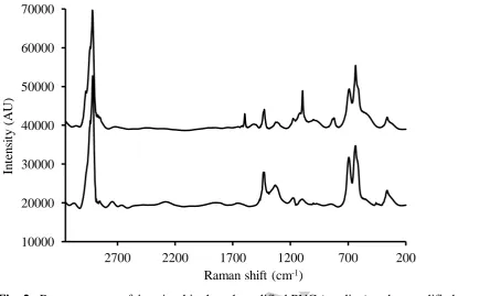 Fig. 2.  Raman spectra of 4-aminothiophenol-modified PVC (top line) and unmodified 
