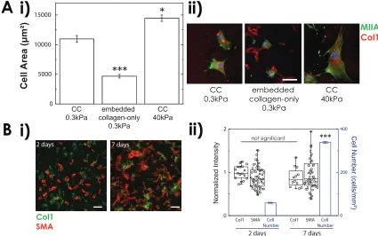 Figure 2.3. Embedded collagen is stable but does not induce cell spreading alone onsoft gel