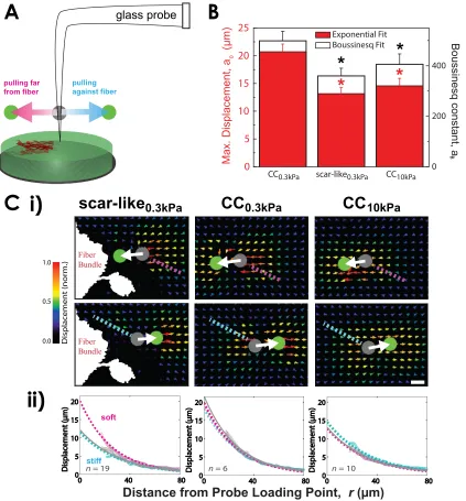 Figure 2.5. Lateral pulling microscopy reveals the heterogeneity of scar-like0 BRepresentative lateral pulls on scar-likeii) Pulling against an EC ﬁber bundle in scar-like(left, cyan and grey) similar to a stiffer 10-kPa gel (right).magenta) has a displace