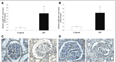 Figure 2 The expressions and distribution of miR-155 and miR-146a in the kidneys from DN patients.in the kidney of the DN and controls were confirmed by quantitative real-time PCR