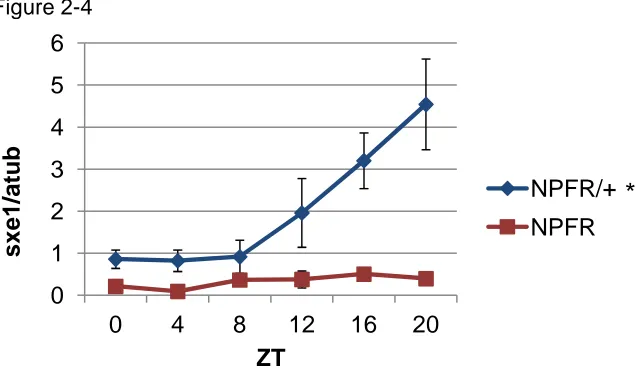 Figure 2-4 6