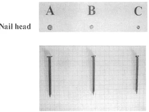 Fig. 1. Three tentatively chosen nails for the model 