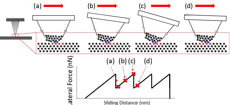 Figure 2.3:  Cartoon showing atomic stick-slip motion for an AFM tip with an amorphous tip 