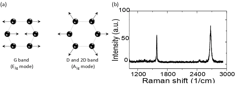 Figure 3.9: (a) Vibrational modes of carbon atoms (black spheres) in a graphene/graphite Raman shift (1/cm)