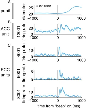 Figure   3-­‐4:   Cingulate   neurons   respond   to   surprising   auditory   stimuli