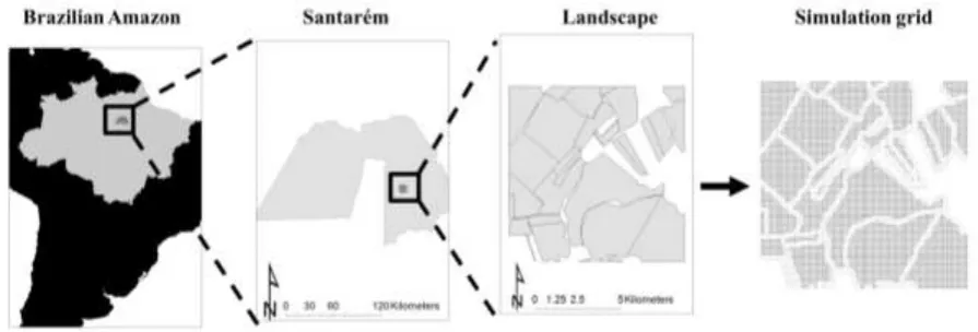 Figure 2 The modelled landscape in the Brazilian Amazon and the gridded version used in simulations 