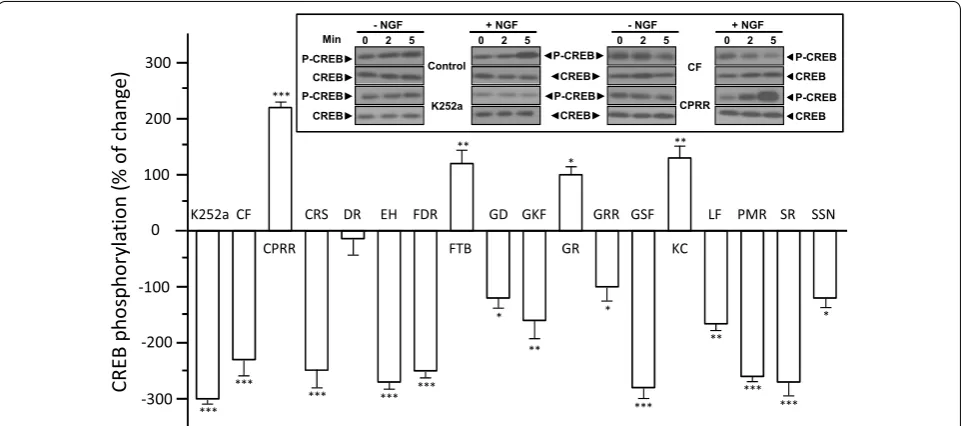 Fig. 4 Herbal extracts in NGF-induced CREB phosphorylation in PC12 cells. PC12 cells were serum-starved for 3 h before co-treatment of 50 ng/mL of NGF and extract at 0.1 mg/mL, or K252a at 100 nM