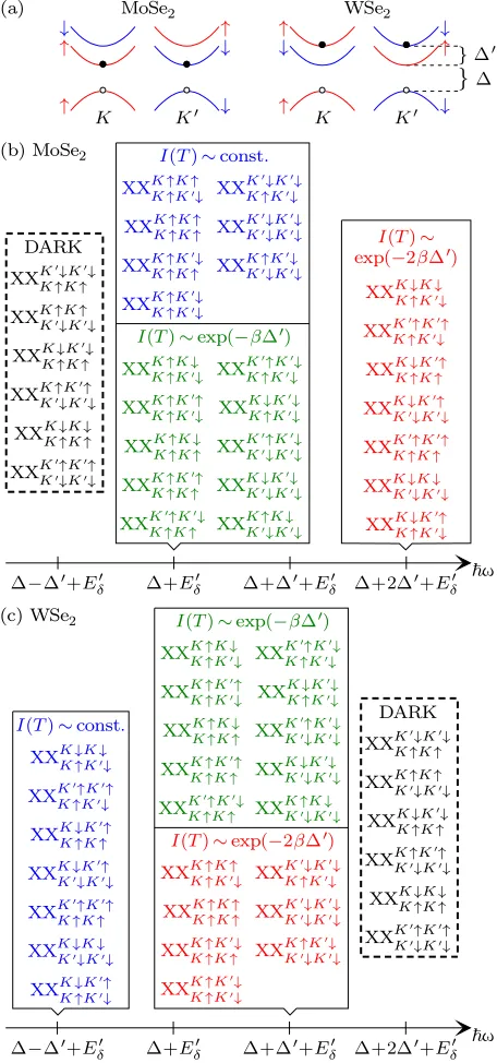 FIG. 2. (Color online) As Fig. 1, but for negative trions inmolybdenum and tungsten dichalcogenides.the total energya trion consisting of conduction-band electrons in valleysandEδ ≡ EX− is EX− of a negative trion