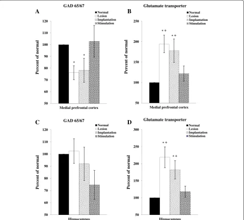 Fig. 6 The expression of GAD65&67 and GT in the mPFC and hippocampus. The expression of GAD65&67 (a) and GT (b) in the mPFC