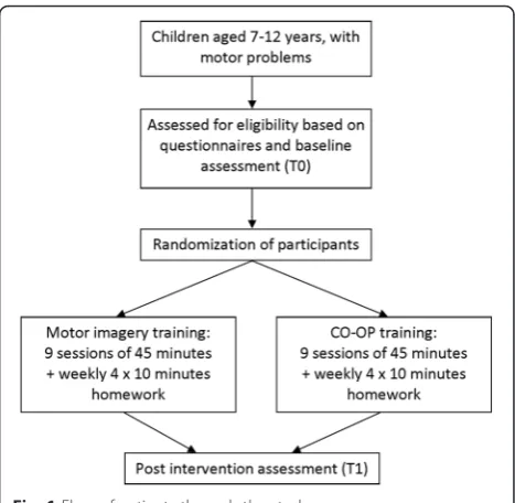 Fig. 1 Flow of patients through the study