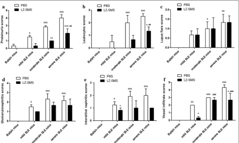 Table 1 Clinical characteristics of MRL/lpr and Balb/c mice before treatment