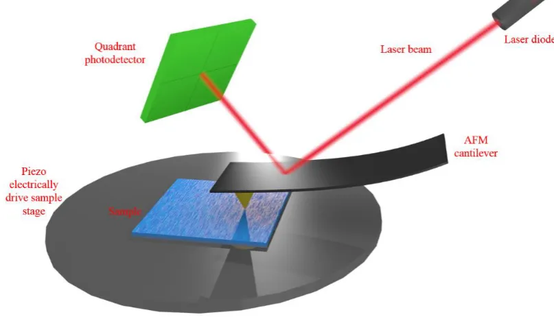 Figure 3.8: A simplified schematic diagram of the working principle of a scanning probe microscope