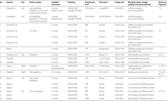 Table 1 Retinal image data