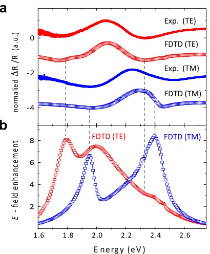 Figure 2.8 | Polarization-dependent reflection spectra of the bowtie resonator array.**MoS2 Intens ity*(x10Exp.**(TM)ΔR/R) spectra of experimental and calculated 2/Si substrate