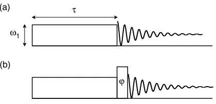 Figure 2: Three-dimensional surface plots of the spin I = 3/2 expectation values for (a) thedensity operator norm and (b) the central transition (CT) created by rapid dephasing of theinitial state T1,0 under spin-locking, as a function of ω1 and Ω