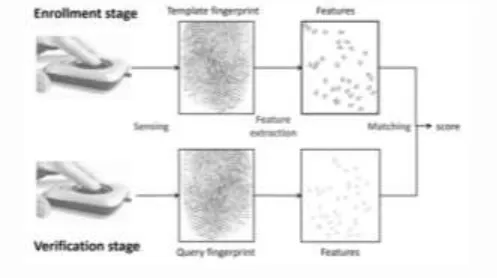Fig a. The process of Fingerprint recognition 