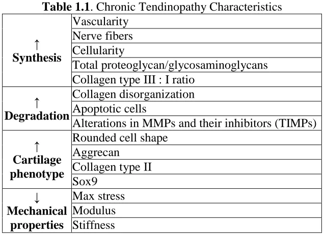Table 1.1. Chronic Tendinopathy Characteristics Vascularity 