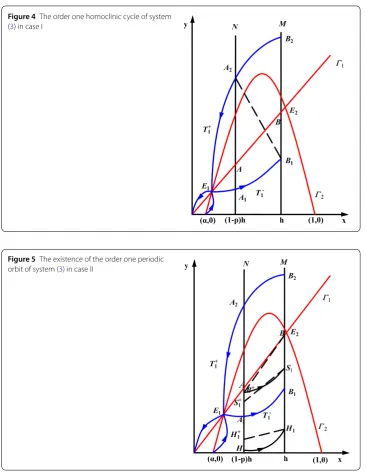 Figure 4 The order one homoclinic cycle of system