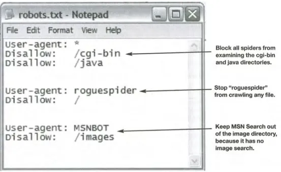 FIGURE 2.13: Example of a robot.txt file with file content explanations   (Source: Moran &amp; Hunt 2005:243)