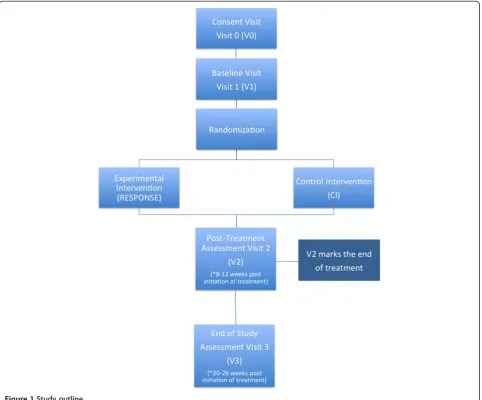 Figure 1 Study outline.