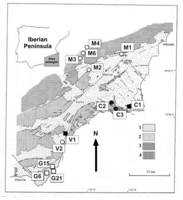 Fig. 1. Schematic geological map from south-eastern Spain and sampling sites (modiﬁed from Calvo et al., 1997)