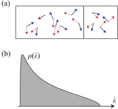 Fig. 5.1 (a) Bipartite entanglement concerns the quantum correlations between a subsystemmatrix