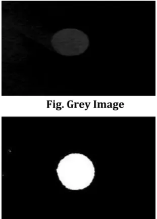 Fig. Grey Image 