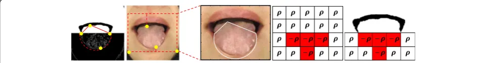 Figure 2 Saliency detection in tongue images. Top row: images and saliency objects detected by the saliency object detector; bottom row:corresponding saliency maps of the four images.
