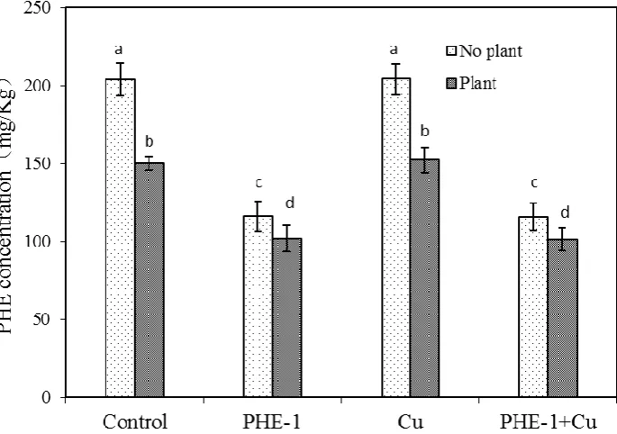 Fig. 6. Residual PHE concentration in soils from different treatments. Control: soil amended with PHE