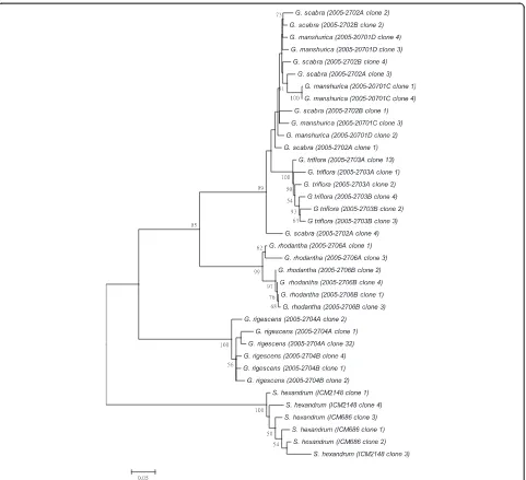 Figure 7 K2P distance NJ tree for 5S rRNA.replicates was constructed by bootstrap analyses with the bootstrap values indicated at the branches (bootstrap values of less than 50 are A consensus NJ tree for 5S rRNA of Gentiana and P