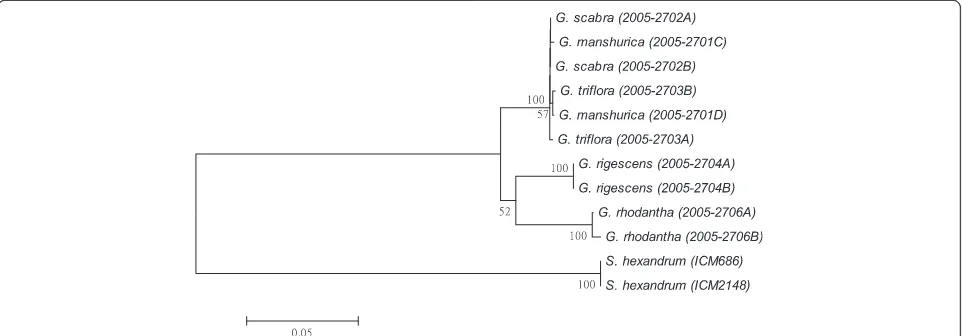 Figure 2 K2P distance NJ tree for matK. A consensus NJ tree for matK of Gentiana and P