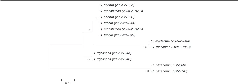 Figure 4 K2P distance NJ tree for trnL-F. A consensus NJ tree for trnL-F of Gentiana and P