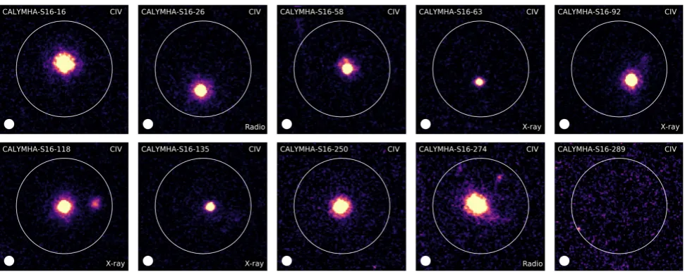 Figure 10. Same as Fig. 8, but for CIV emitters. The cutouts trace 33.9 kpc on each side, at the redshift of CIV (z ∼ 1.53)
