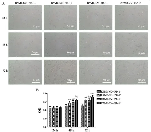 Fig. 3 Interaction between PD-L1 and PD-1 can promote K7M2 cell proliferation. K7M2-LV or K7M2-NC cells were co-cultured with CD4+PD-1+ orwas determined using a CCK-8 assay