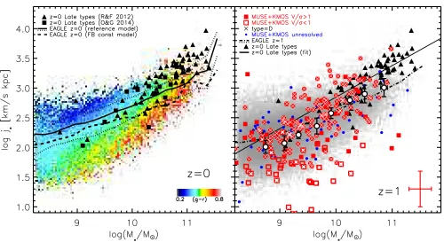 Figure 8. Left:there is considerable scatter in the high-redshift galaxy sample, atalso include the evolution ofmomentum (and bootstrap error) in bins of log Speciﬁc angular momentum (j⋆ = J / M⋆) of late- and early- type galaxies at z = 0 from Romanowsky 