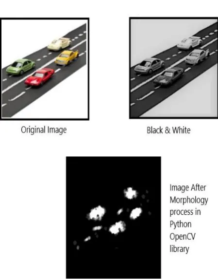 Figure 3: Morphology and Count detection 
