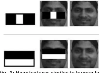 Fig -1 : Haar features similar to human face  