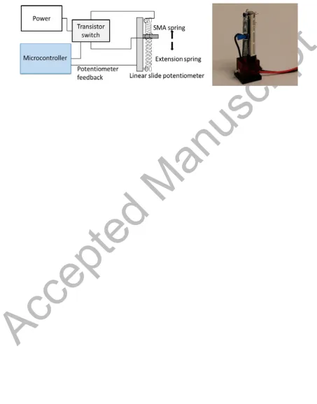 Figure 5: (Left) The configuration of the Shape-memory alloy (SMA) actuator. (Right) The SMA 