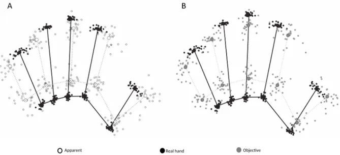 Figure 2. GPS of landmark positions for actual hands (black full dots/black lines) and the body model inferred from the localization judgments in the (A) apparent (black empty dots/black dotted lines) and (B) objective (grey full dots/grey