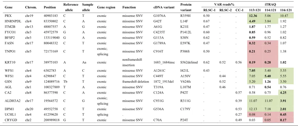 Fig. 5 Protein-protein interaction network of the identified cataract-associated proteins in different physiopathological states