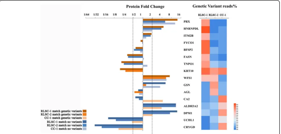 Fig. 6 Proteogenomic characterization of subjects in the RLSC and CC groups performed to detect susceptibility genes/proteins