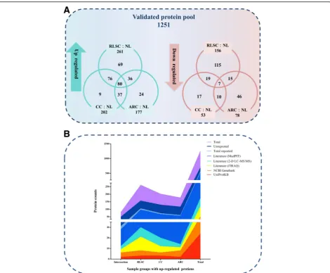 Fig. 2 Differentially expressed proteins identified across the human RLSC, CC, ARC groups and an overview of previous reports.inter-relationship of the proteins identified in the human RLSC, CC and ARC groups