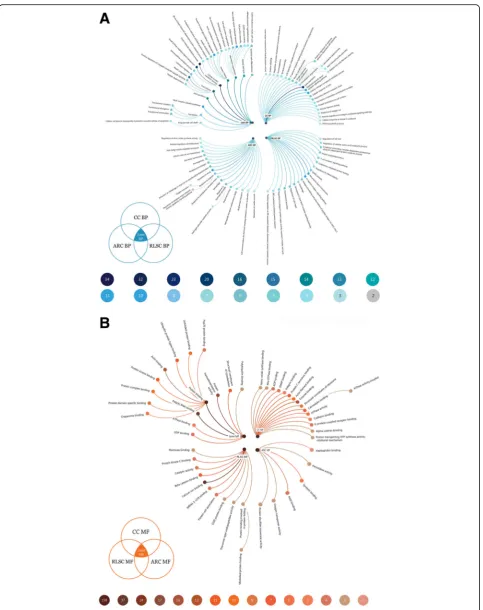 Fig. 3 Radial tidy trees illustrating the significant GO items involved in the human RLSC, CC, and ARC groups and their joint components