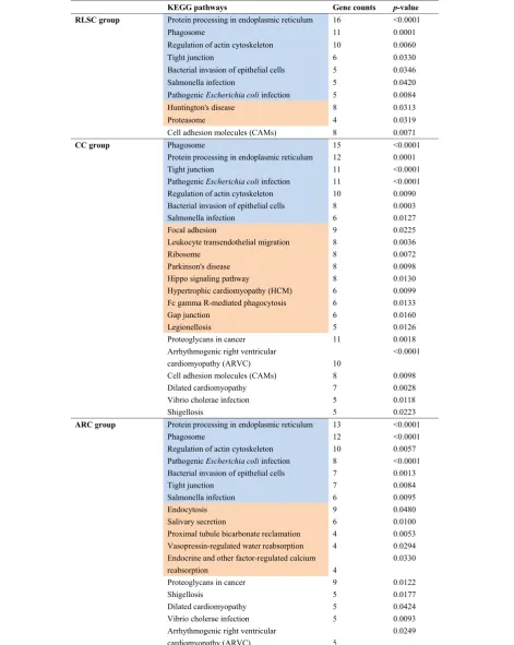 Table 2 The KEGG pathways involved in RLSC, CC and ARC by the up-regulated proteins